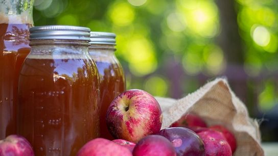 Sip of the State: Why Apple Cider Is New Hampshire’s Official Beverage (featured)